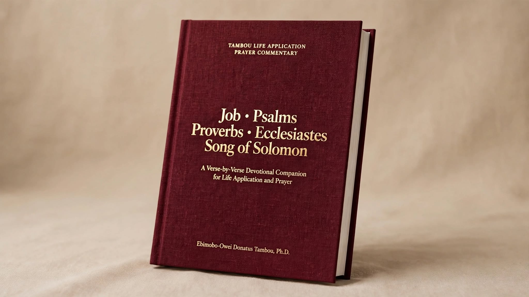 Wisdom and Poetic Books e-book cover